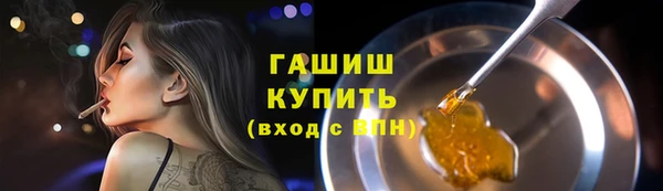 гашик Алексин