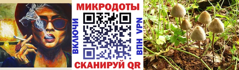что такое Жердевка Псилоцибиновые грибы мухоморы